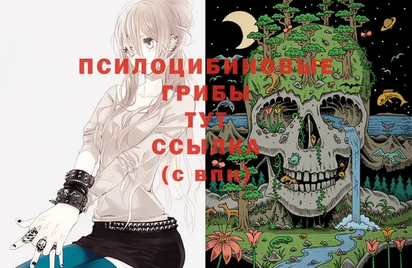 spice Горнозаводск