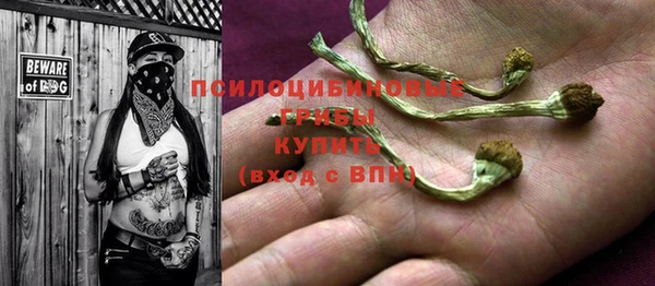 spice Горнозаводск